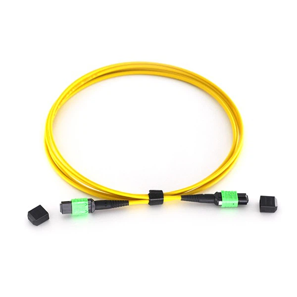 MPO-MPO Yellow 1